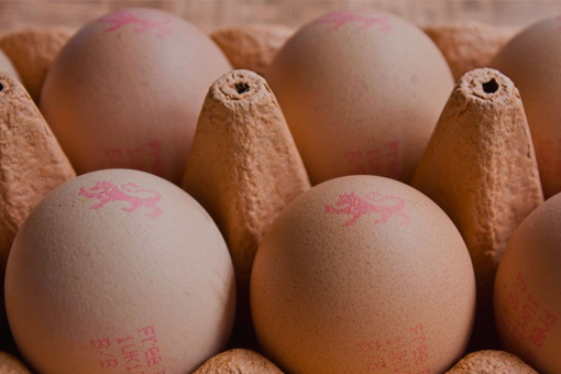 Oakland Farm Eggs
