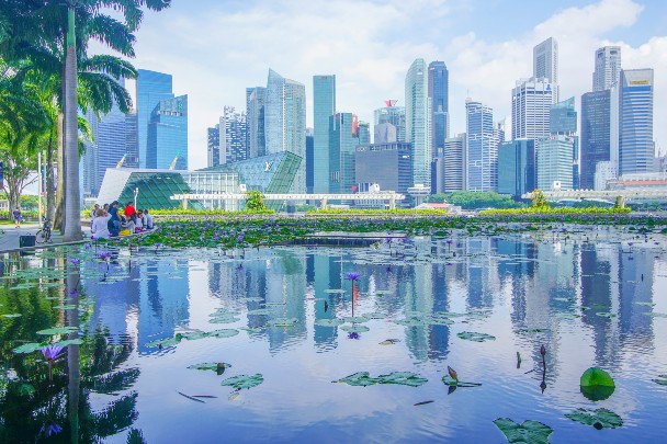 As a thriving financial, shipping, and trade hub with a pro-business government, Singapore offers world-class connectivity to a region with budding economic potential