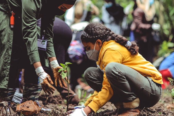 child planting trees