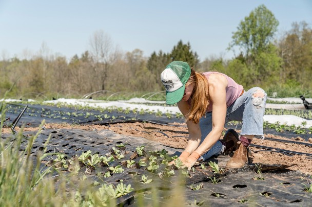woman planting on organic farm 