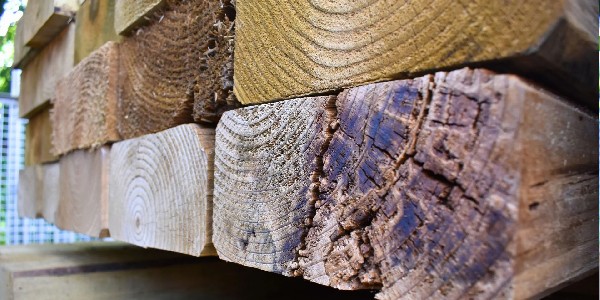 Snowdon Timber: building a sustainable future through marketplaces and GS1 standards 