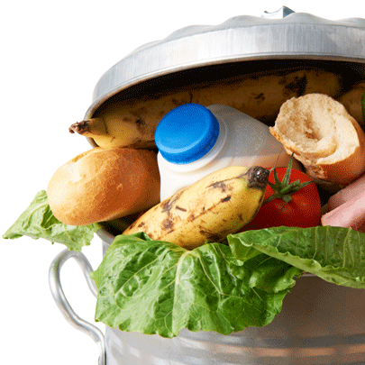 Food waste bin