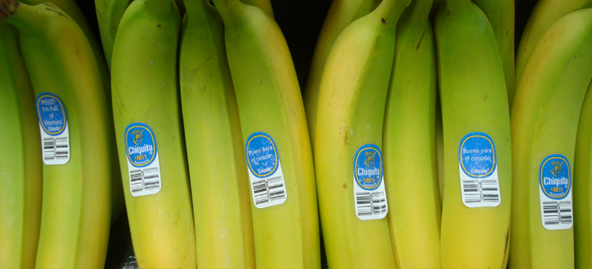 news food waste