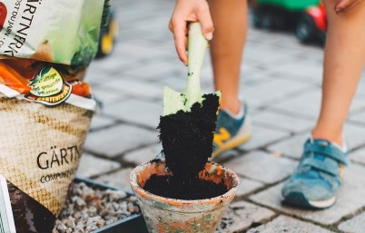 Home and garden