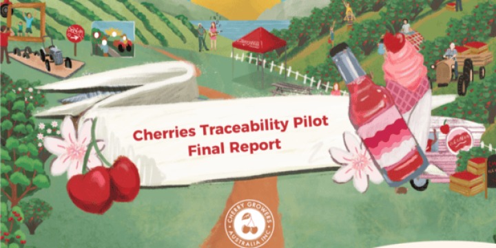 Cherry plus digital traceability 